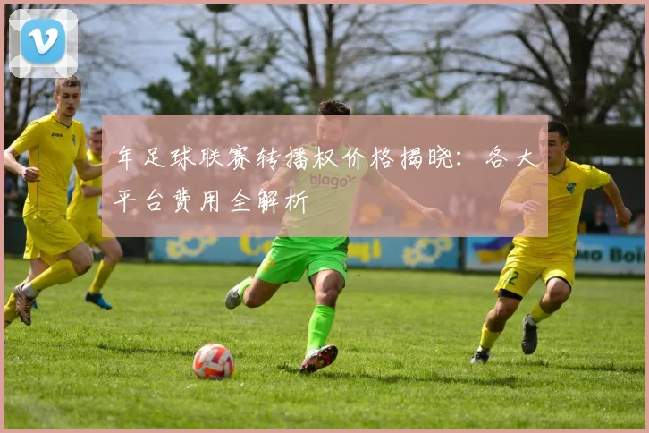 年足球联赛转播权价格揭晓:各大平台费用全解析