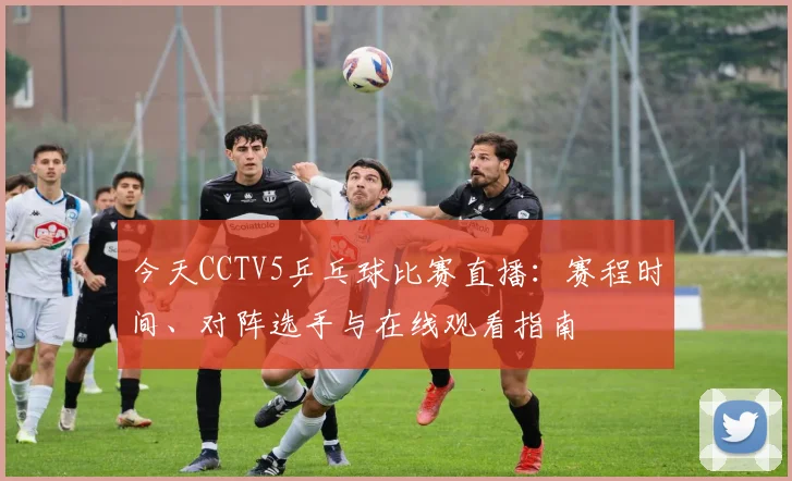 今天CCTV5乒乓球比赛直播：赛程时间、对阵选手与在线观看指南