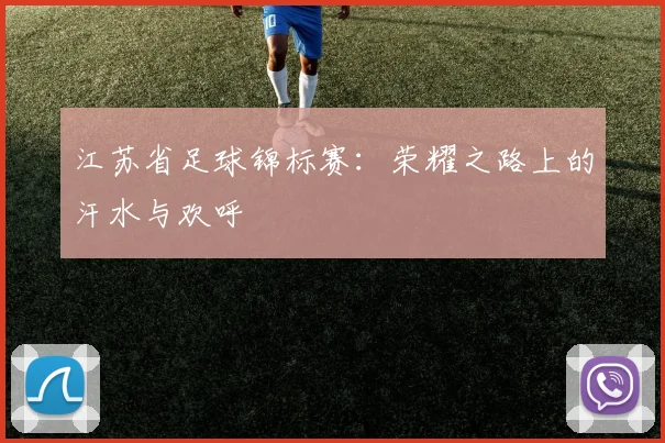 江苏省足球锦标赛：荣耀之路上的汗水与欢呼