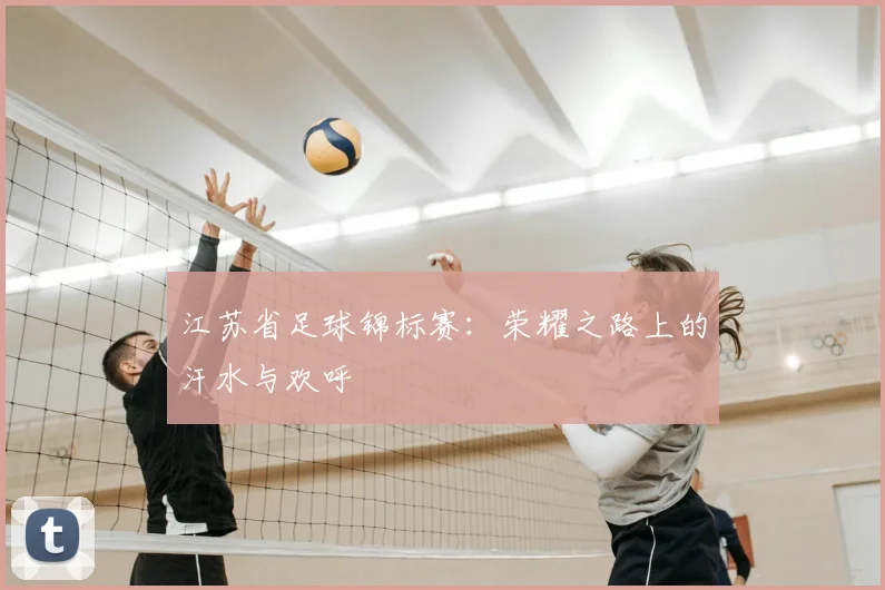 江苏省足球锦标赛：荣耀之路上的汗水与欢呼